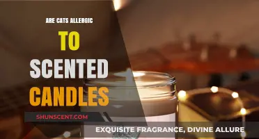 Can Cats Be Allergic to Scented Candles? What Pet Owners Need to Know