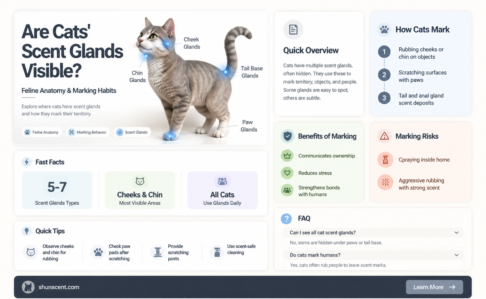 are cats scent glands visible