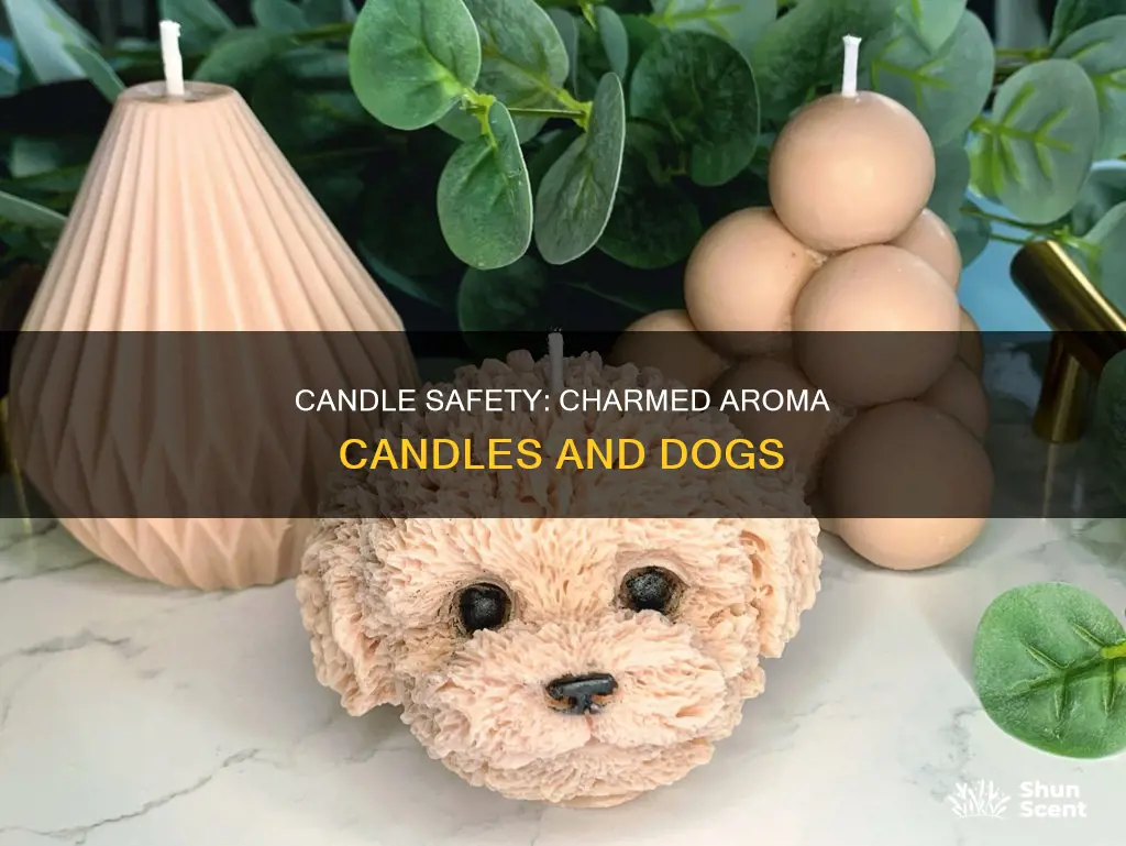 are charmed aroma candles safe for dogs