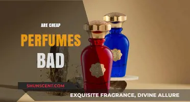 Cheap Perfumes: Are They Worth It?