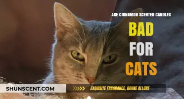 Cinnamon Scented Candles: Are They Safe for Your Feline Friend?