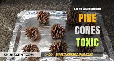 Are Cinnamon-Scented Pine Cones Toxic to Pets or Humans?