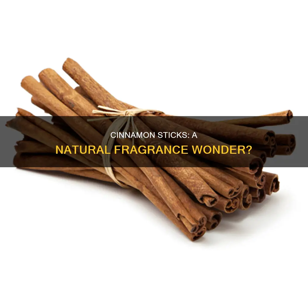 are cinnamon sticks fragrance