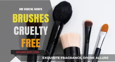 Coastal Scents Brushes: Cruelty-Free Status and Ethical Beauty Insights