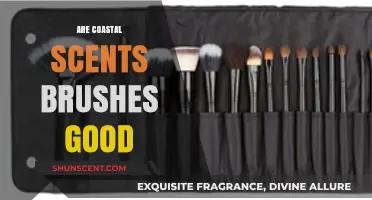 Coastal Scents Brushes Review: Quality, Performance, and Value Explored