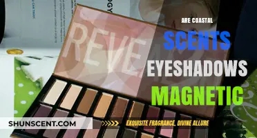 Are Coastal Scents Eyeshadows Magnetic? Unveiling the Palette Truth
