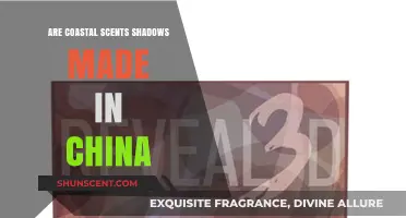 Are Coastal Scents Eyeshadows Manufactured in China? Unveiling the Truth
