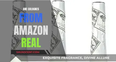 Amazon Colognes: Are They the Real Deal?