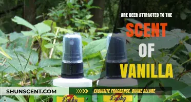 Vanilla's Allure: Do Deer Find Its Sweet Scent Irresistible?