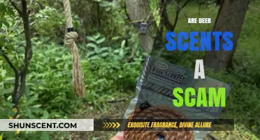 Unveiling the Truth: Are Deer Scents Effective or Just a Scam?