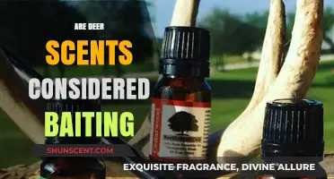 Are Deer Scents Baiting? Understanding Hunting Ethics and Regulations