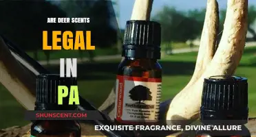 Are Deer Scents Legal in PA? Understanding Hunting Regulations