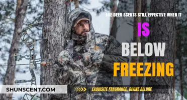 Do Deer Scents Work in Freezing Temperatures? Hunting Tips Revealed