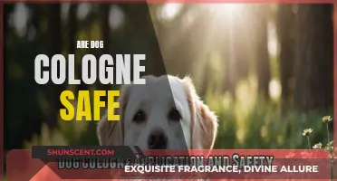 Dog Cologne: Are They Safe for Your Pet?