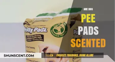 Are Dog Pee Pads Scented? Exploring the Truth Behind the Smell