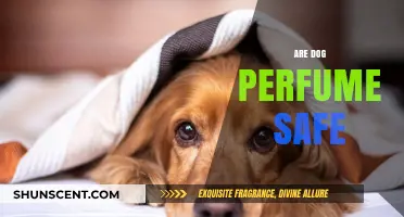 The Truth About Dog Perfumes: Safe or Not?