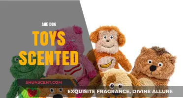 Do Dog Toys Come with Scents? Exploring Aromatic Playtime Options