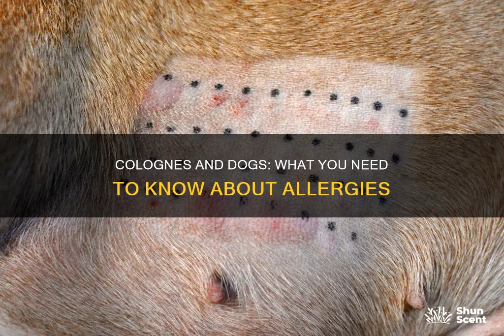 are dogs allergic to cologne