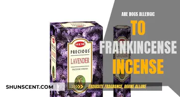 Frankincense Incense: A Potential Allergen for Dogs?
