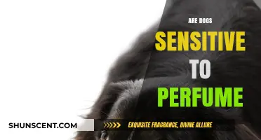 Dogs and Perfume: A Sensitive Topic