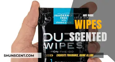 Are Dude Wipes Scented? Exploring the Freshness Factor