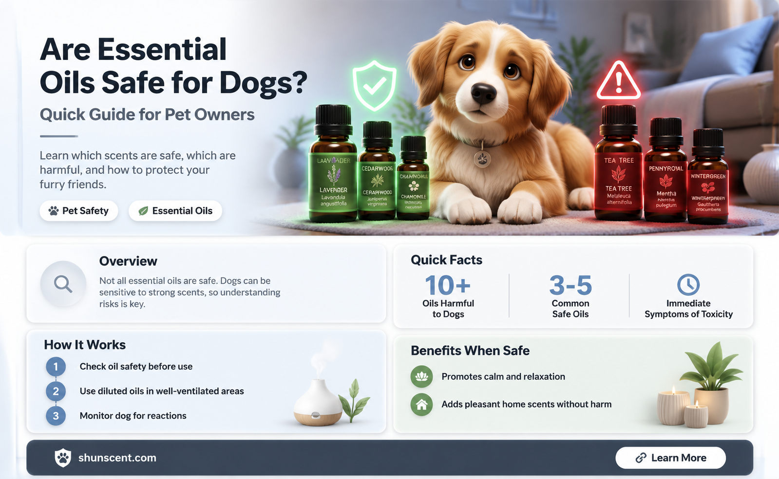 are essential oil scents safe for dogs