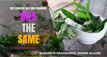 The Difference Between Essential and Fragrance Oils Explained