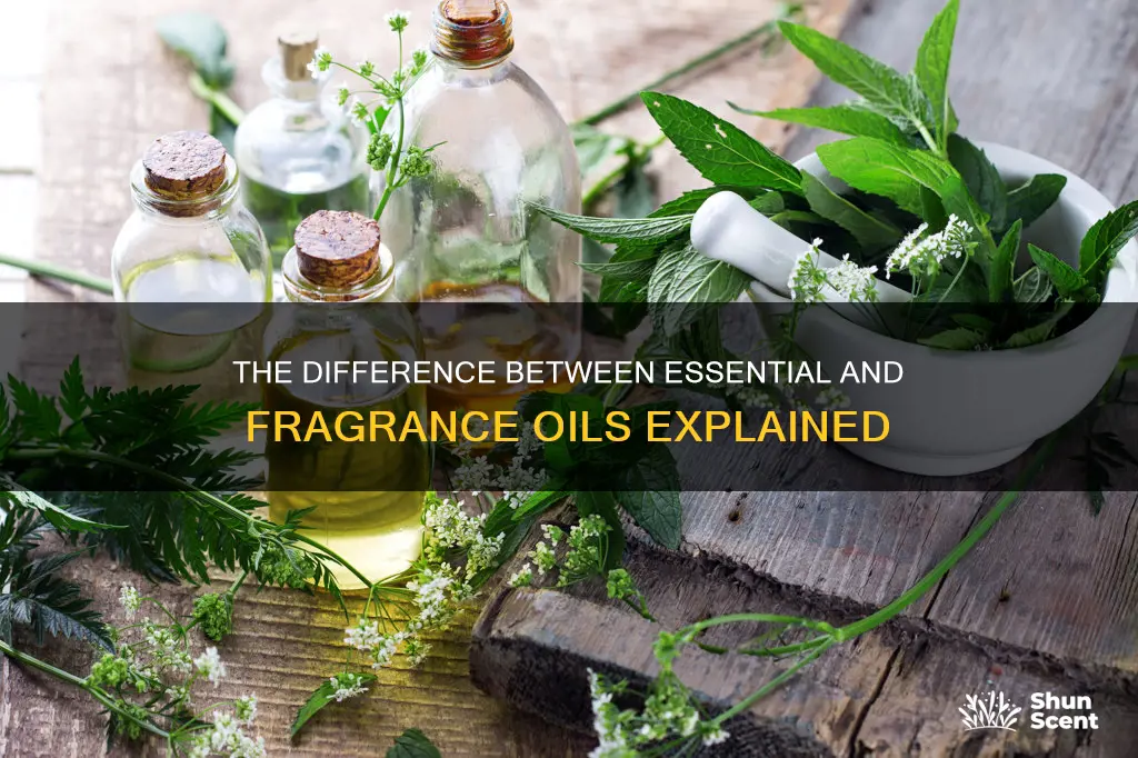 are essential oils and fragrance oils the same