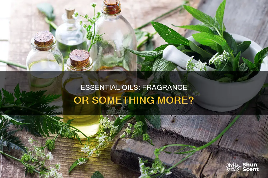 are essential oils considered fragrance