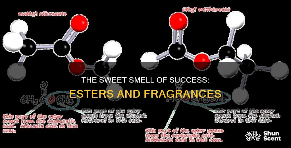 are esters known for pleasant fragrances