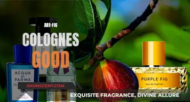 Fig Colognes: Are They Worth the Hype?