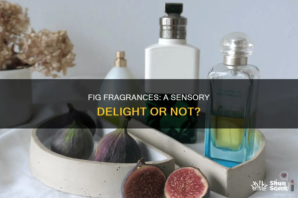 are fig fragrances good