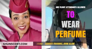 Perfume Policies for Flight Attendants: What's the Scent-sibility?