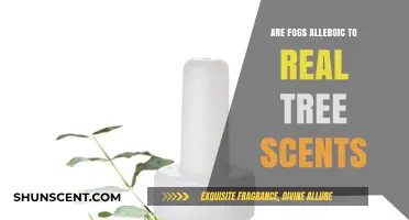 Can Fog Allergies Trigger Reactions to Real Tree Scents?
