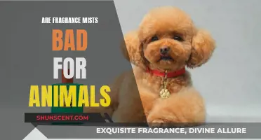 Fragrance Mists: Are They Harming Our Furry Friends?