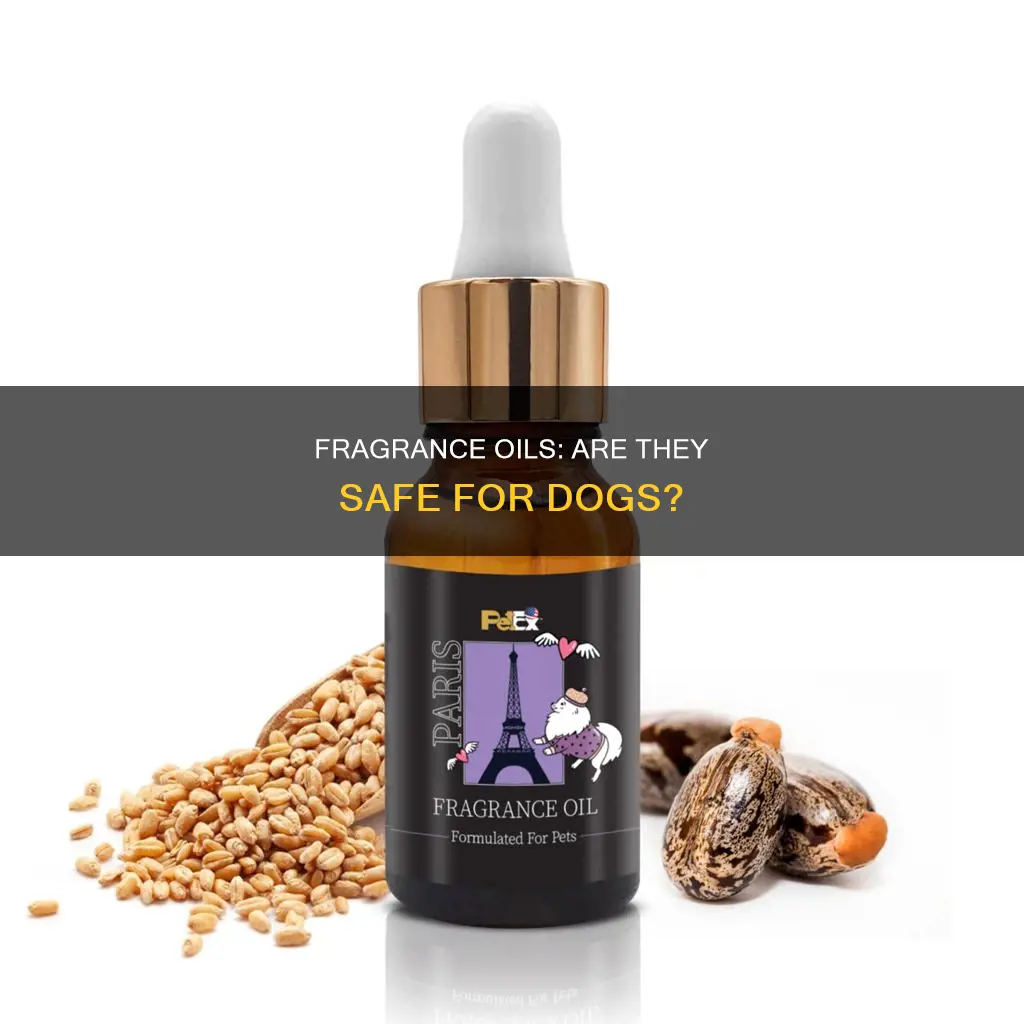 are fragrance oils bad for dogs