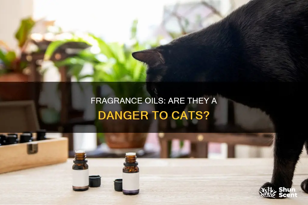 are fragrance oils harmful to cats