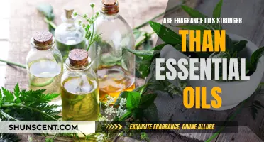 Fragrance Oils vs Essential Oils: Which Scents Pack a Bigger Punch?