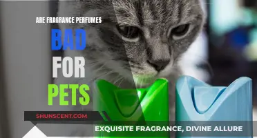 Fragrance Perfumes: Are They Harmful to Our Pets?