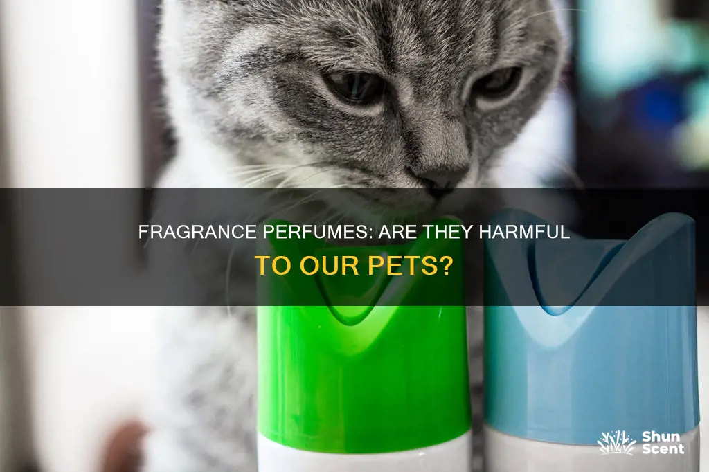 are fragrance perfumes bad for pets