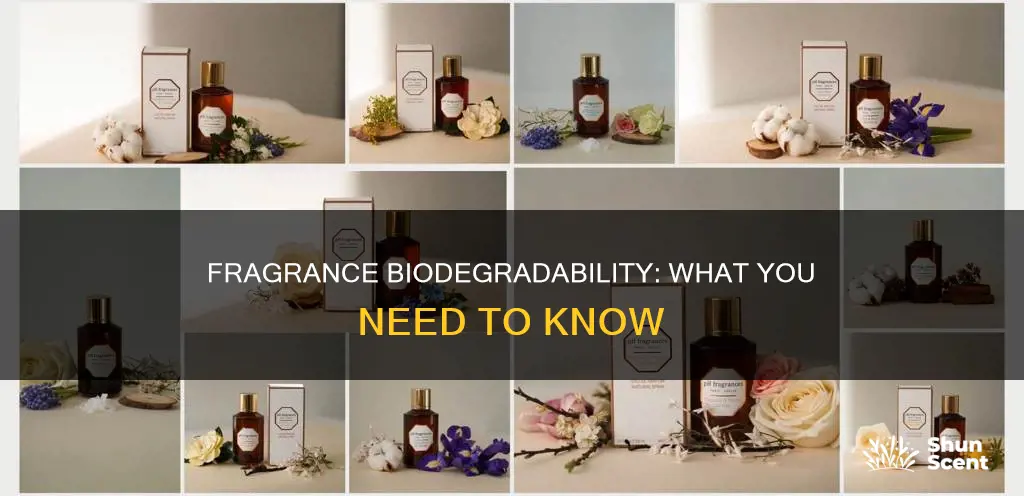 are fragrances biodegradable