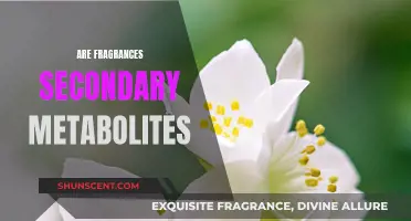 Fragrance Chemistry: Scents as Secondary Metabolites