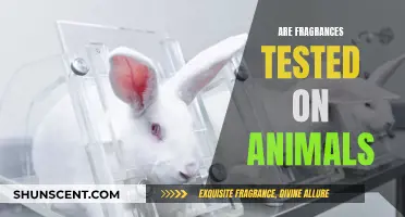 Fragrance Testing: Animal Cruelty or Necessary Evil?