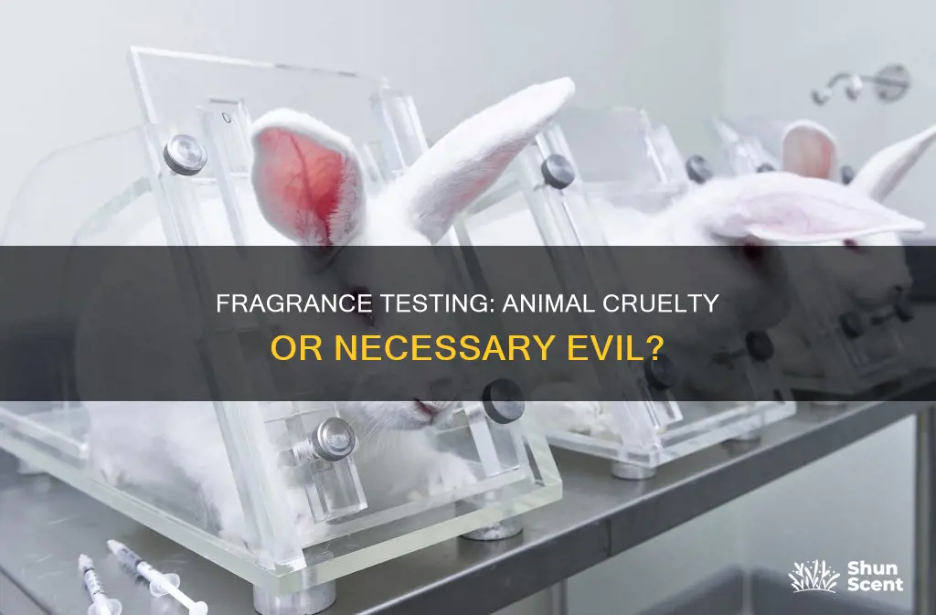 are fragrances tested on animals