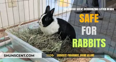 Fresh Scent Deodorizing Litter Beads: Safe for Rabbits or Not?