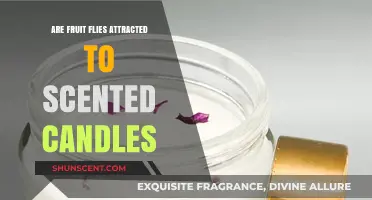 Do Scented Candles Attract Fruit Flies? Uncovering the Truth