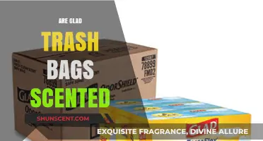 Are Glad Trash Bags Scented? Exploring the Freshness Factor