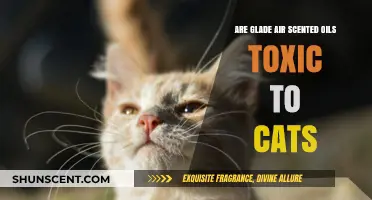 Are Glade Air Scented Oils Safe for Cats? Toxicity Explained