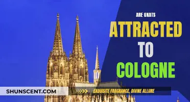 Gnats and Cologne: What's the Attraction?