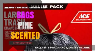 Pine-Scented Hefty Strong Drawstring Large Trash Bags: Worth the Hype?